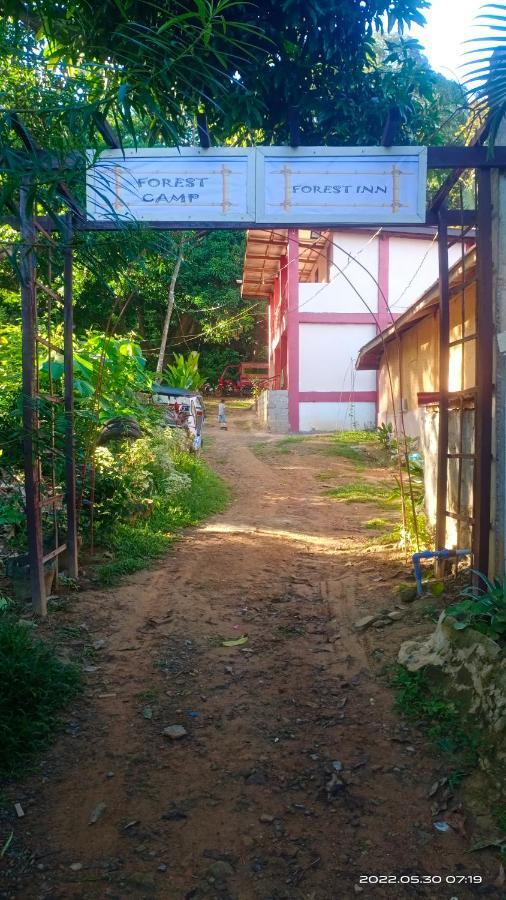 Forest Inn El Nido Bagian luar foto