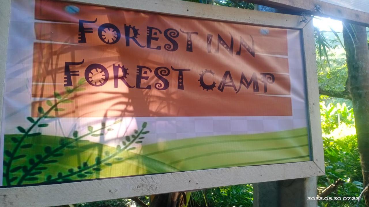 Forest Inn El Nido Bagian luar foto